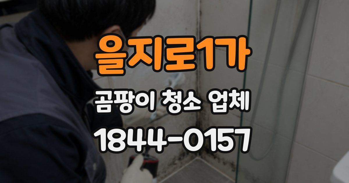 을지로1가 곰팡이 청소 업체