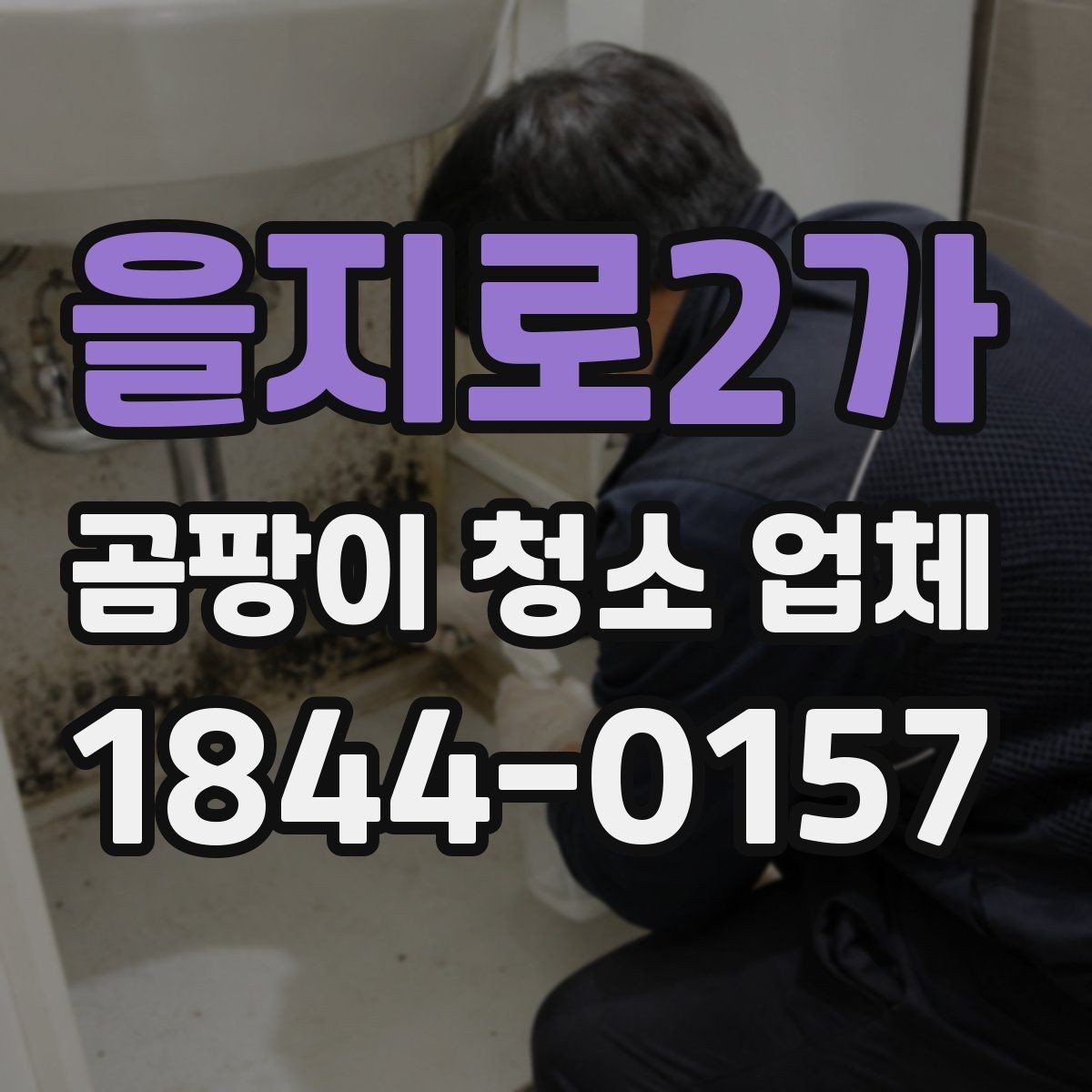 을지로2가 곰팡이 청소 업체 후기와 실제 견적 차이 살피기