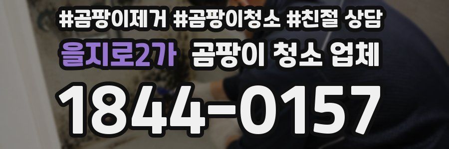 을지로2가 곰팡이 청소 업체