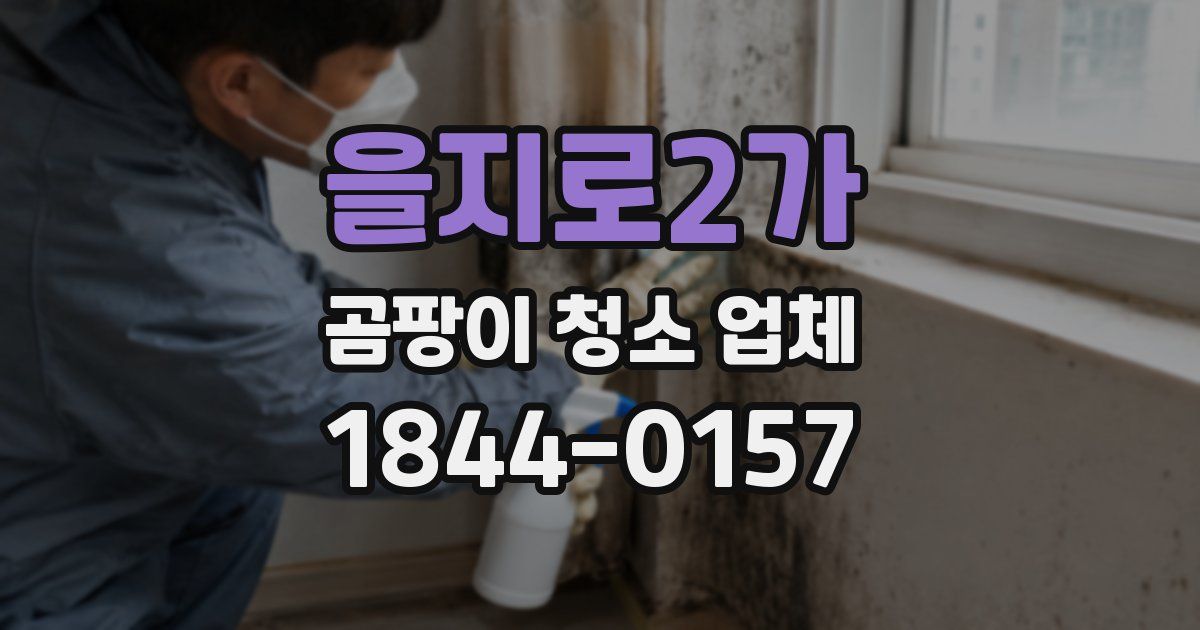 을지로2가 곰팡이 청소 업체