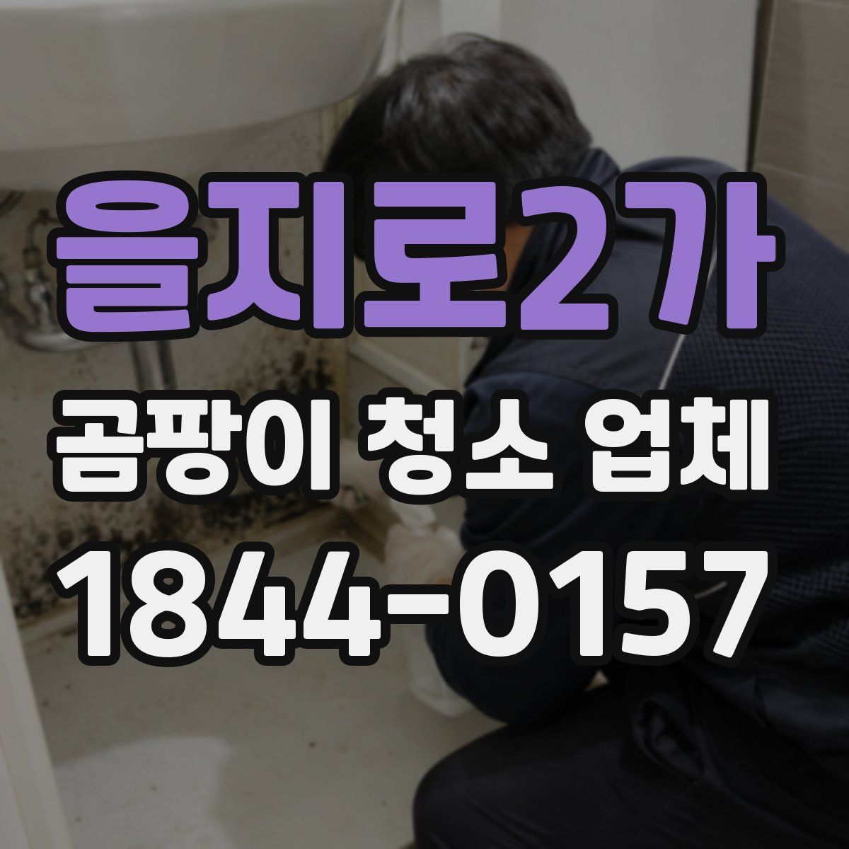 을지로2가 곰팡이 청소 업체