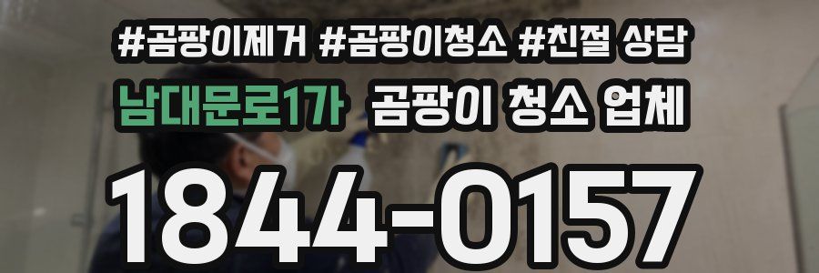 남대문로1가 곰팡이 청소 업체