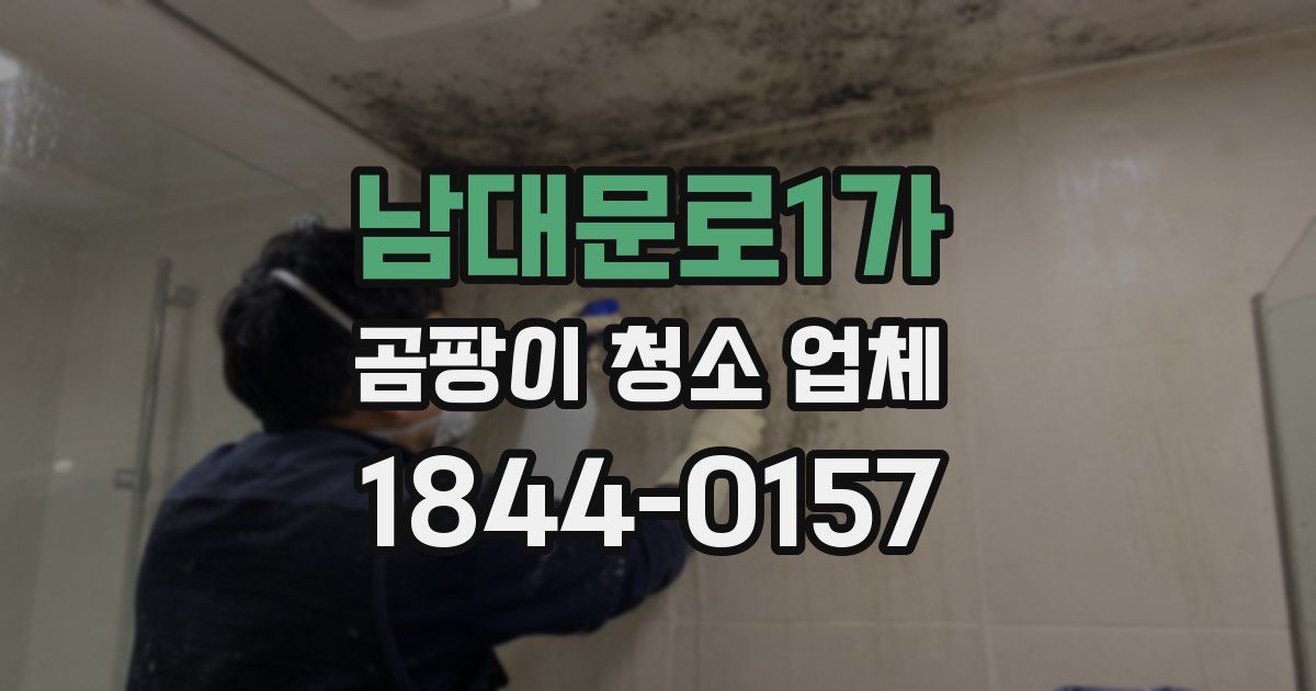 남대문로1가 곰팡이 청소 업체