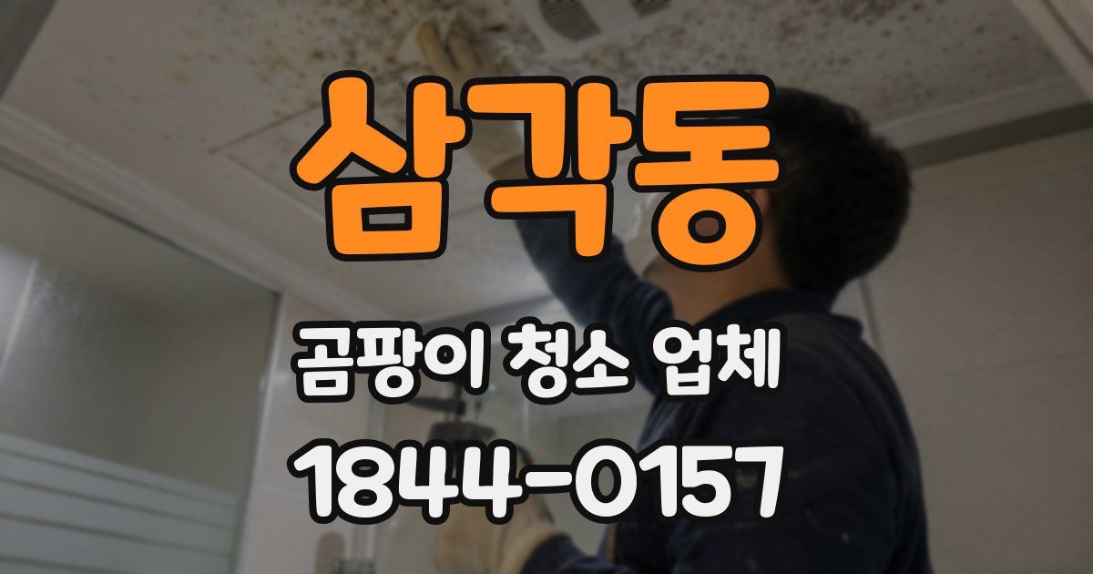 삼각동 곰팡이 청소 업체
