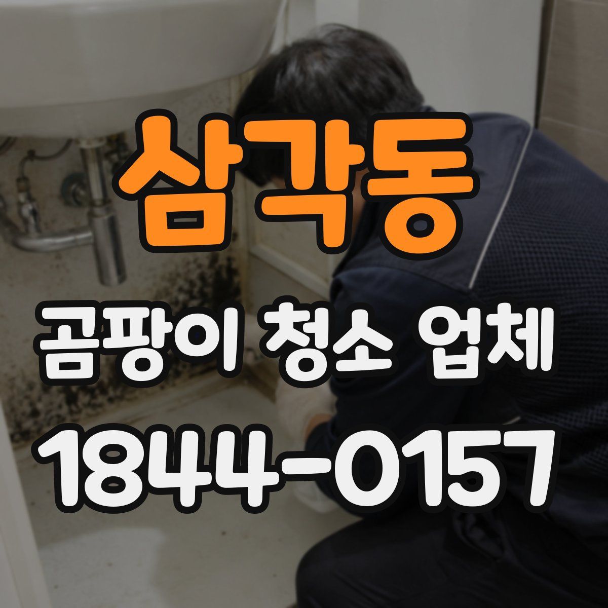 삼각동 곰팡이 청소 업체