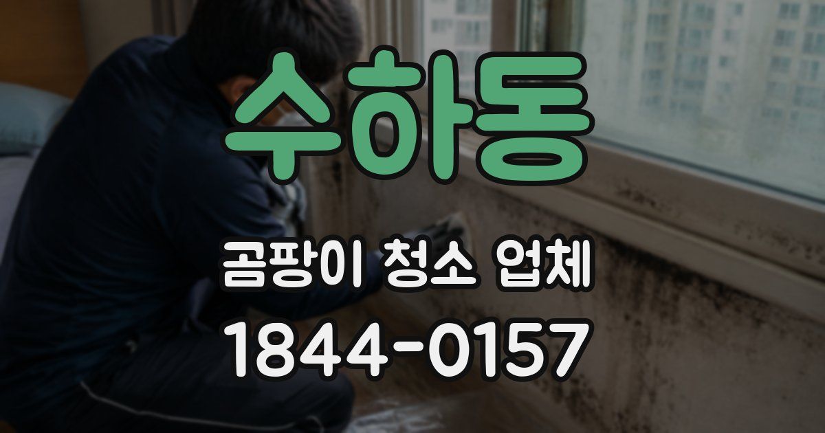 수하동 곰팡이 청소 업체