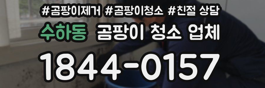 수하동 곰팡이 청소 업체