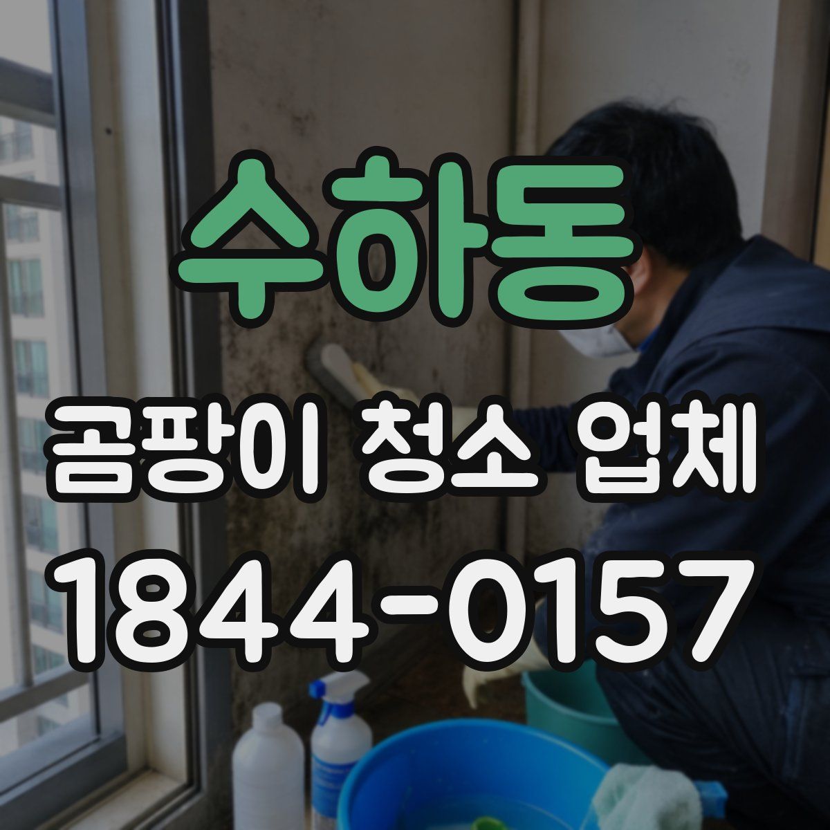 수하동 곰팡이 청소 업체