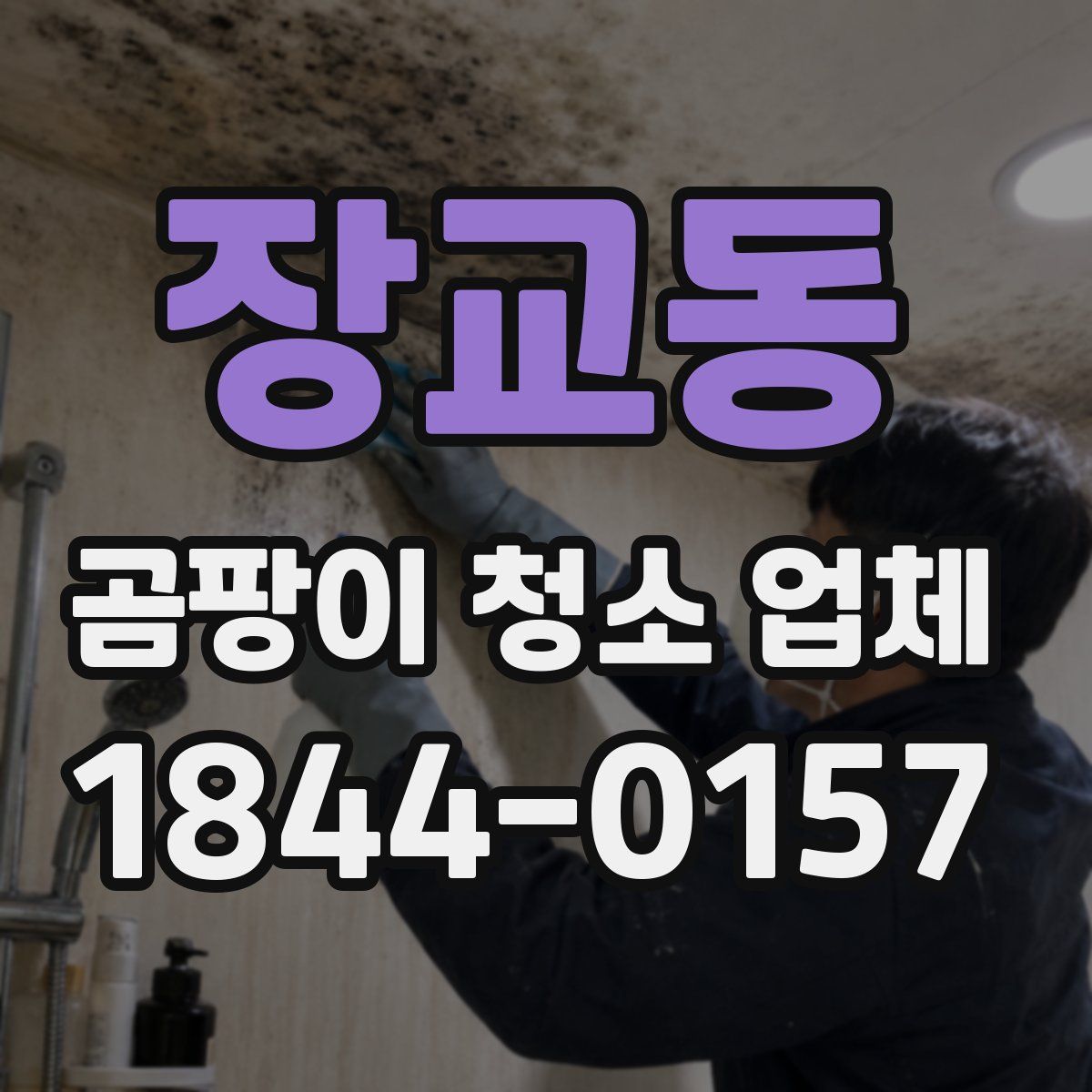 장교동 곰팡이 청소 업체