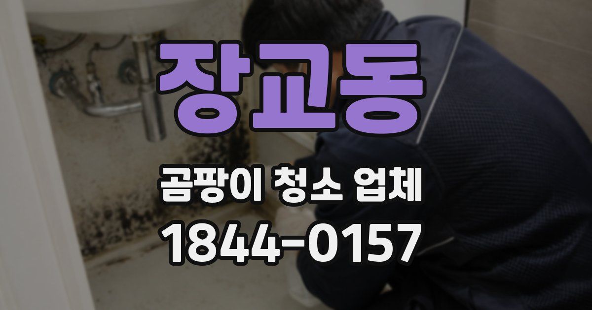 장교동 곰팡이 청소 업체