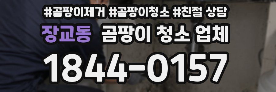 장교동 곰팡이 청소 업체