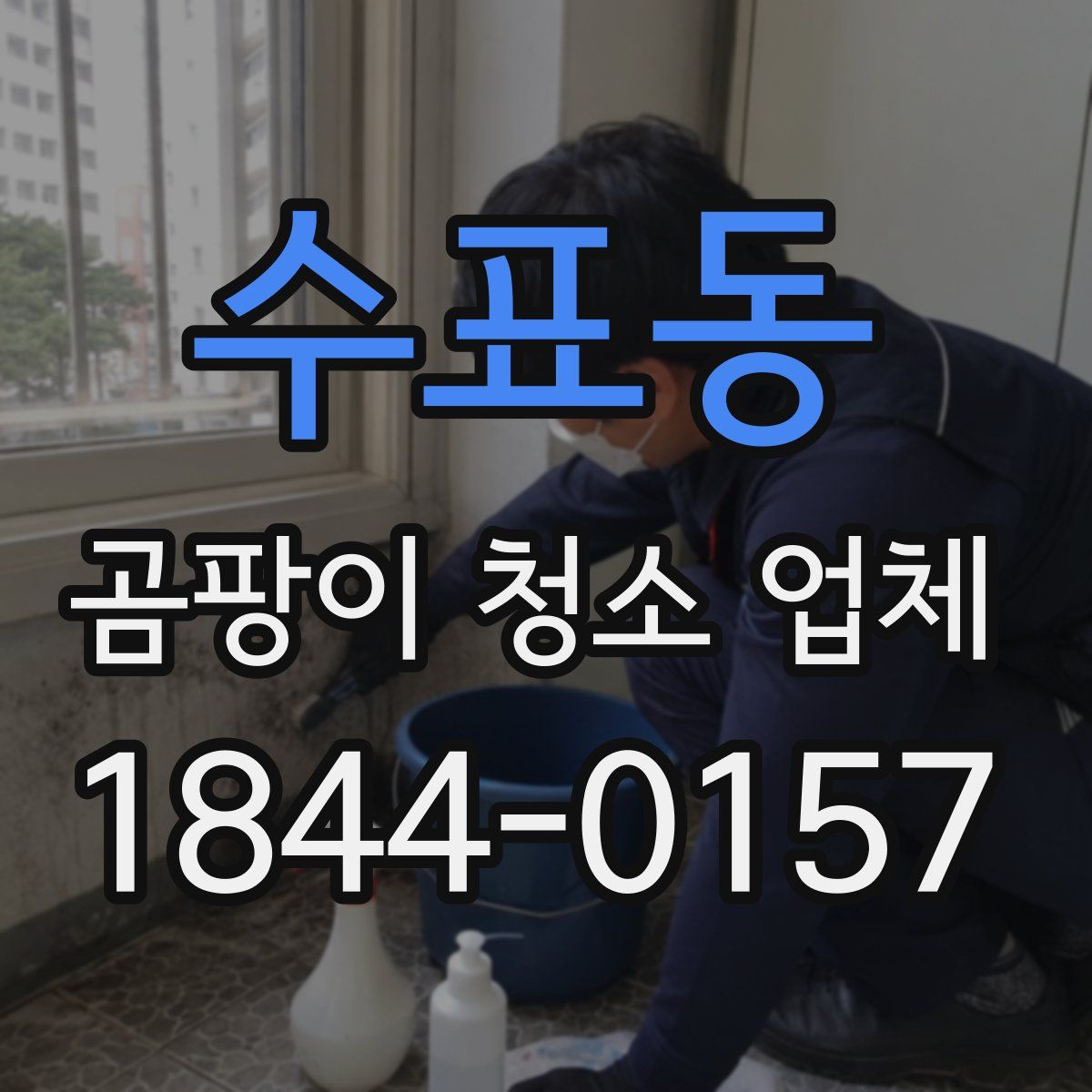 수표동 곰팡이 청소 업체