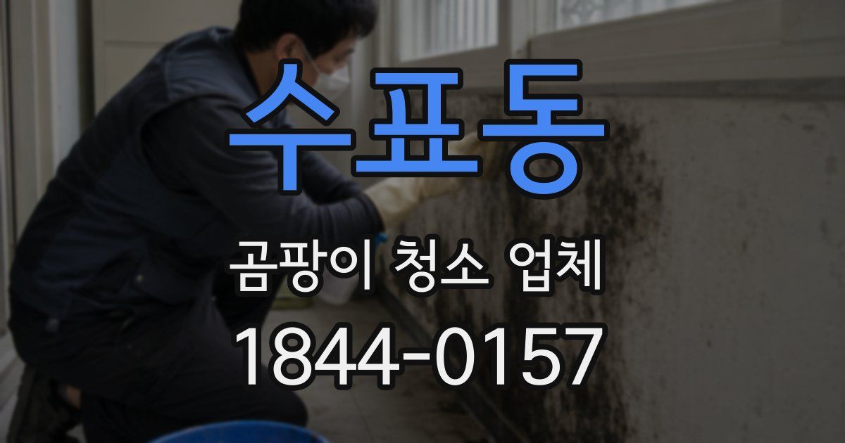 수표동 곰팡이 청소 업체