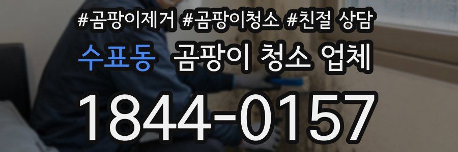 수표동 곰팡이 청소 업체