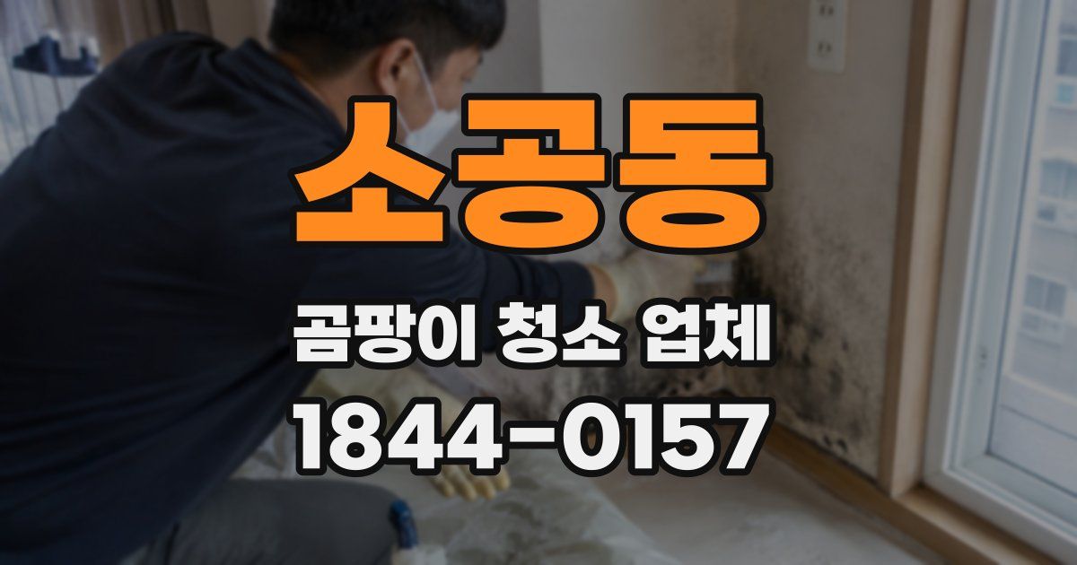 소공동 곰팡이 청소 업체