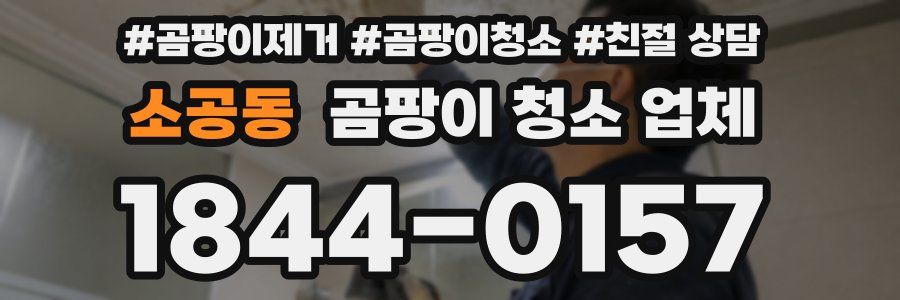 소공동 곰팡이 청소 업체