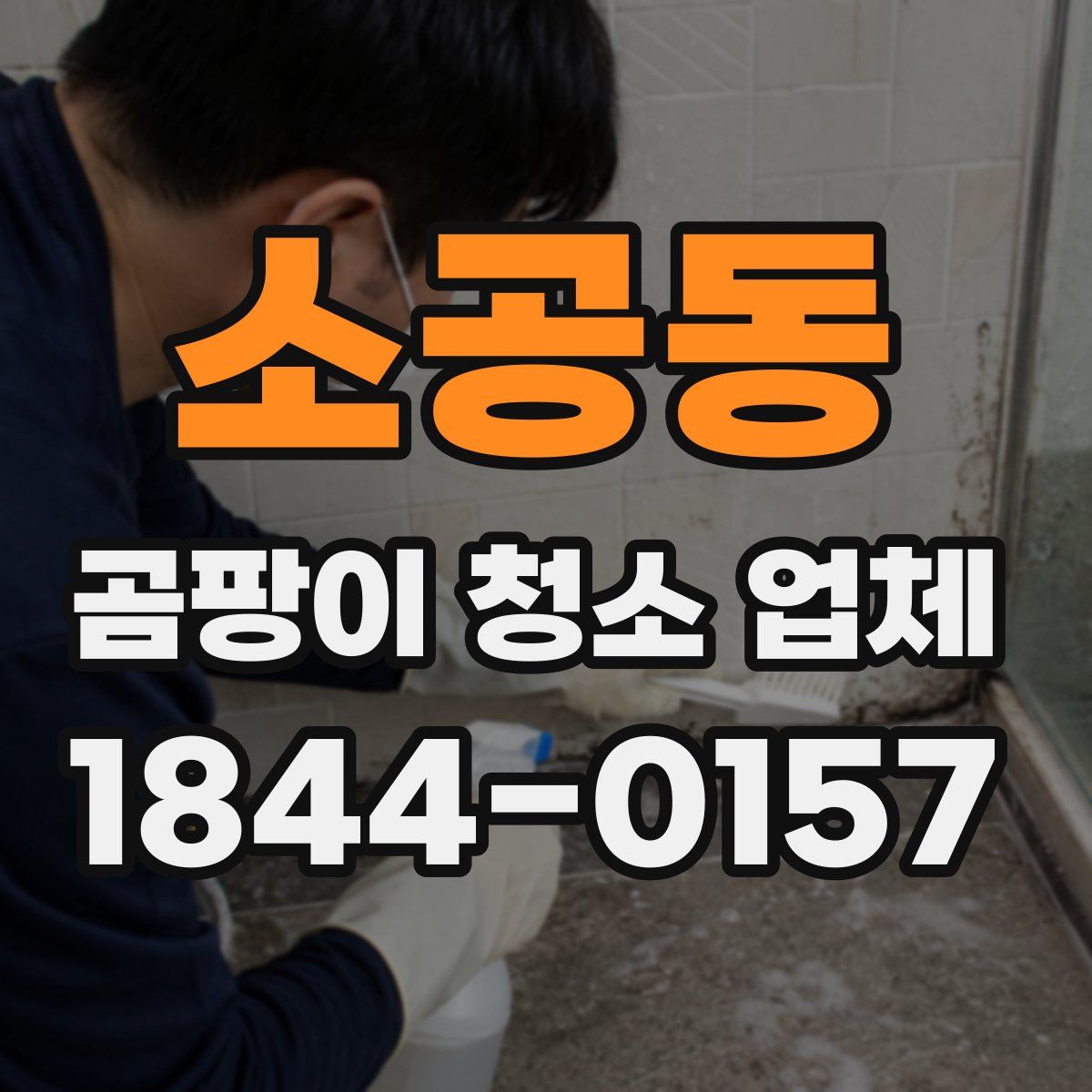 소공동 곰팡이 청소 업체