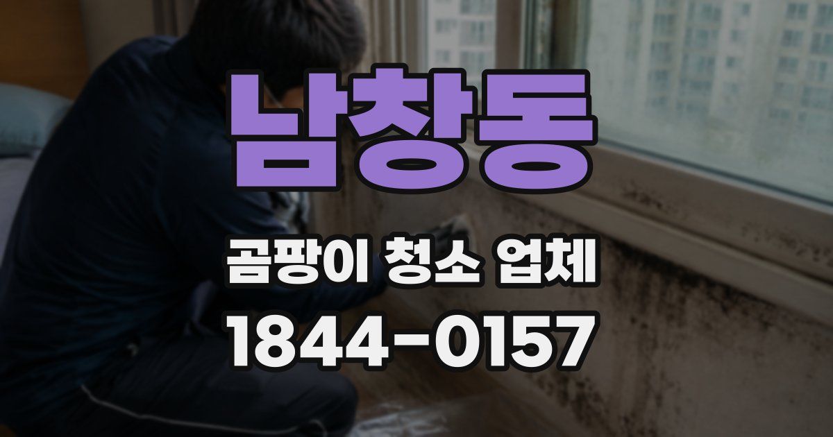 남창동 곰팡이 청소 업체
