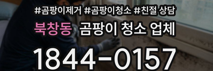 북창동 곰팡이 청소 업체