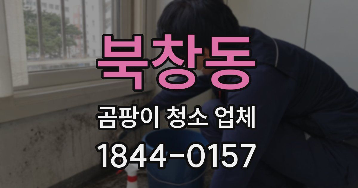 북창동 곰팡이 청소 업체