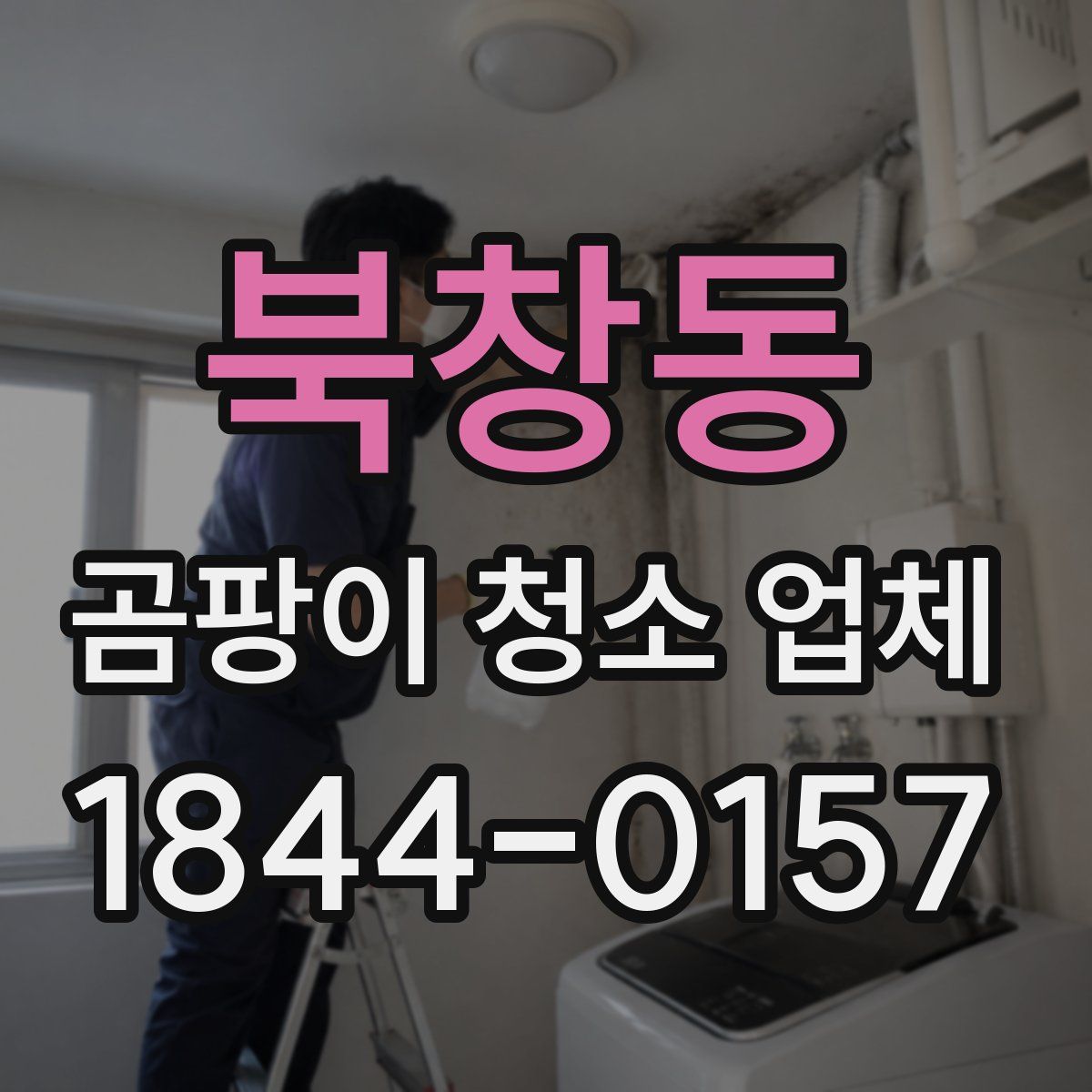 북창동 곰팡이 청소 업체