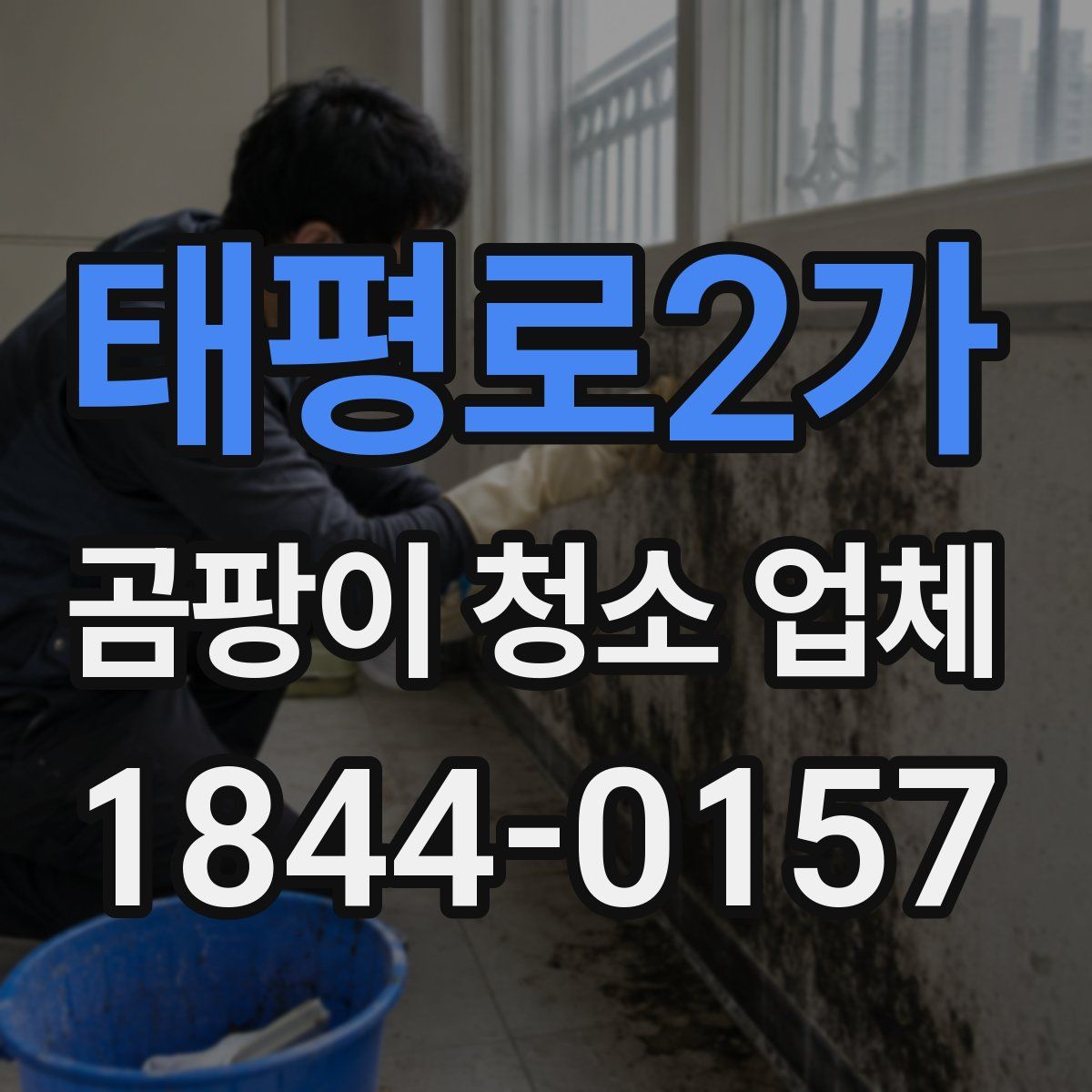 태평로2가 곰팡이 청소 업체