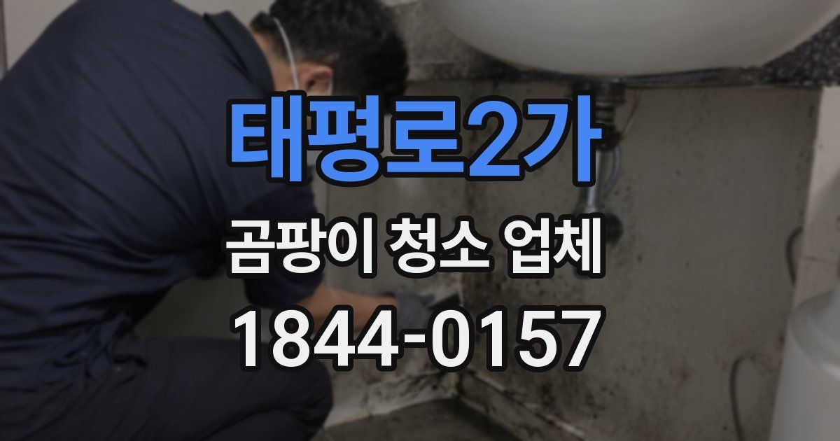 태평로2가 곰팡이 청소 업체
