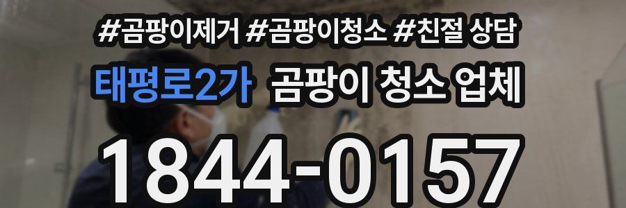 태평로2가 곰팡이 청소 업체