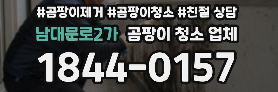 남대문로2가 곰팡이 청소 업체