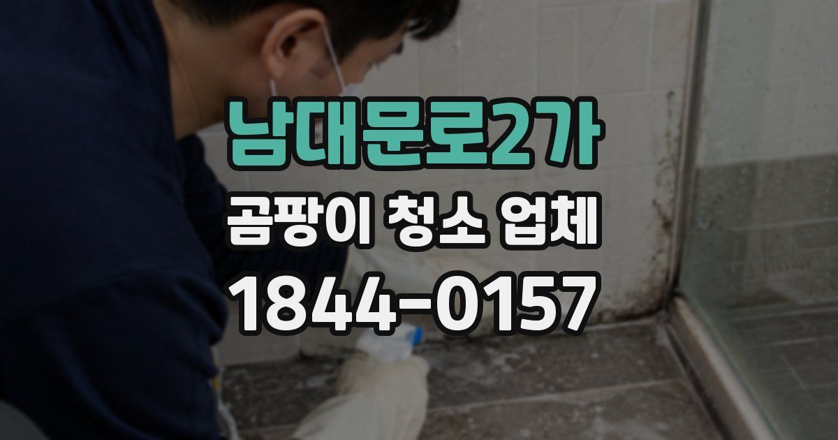 남대문로2가 곰팡이 청소 업체