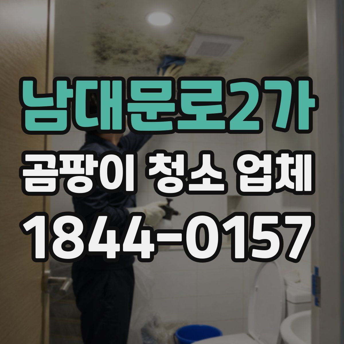 남대문로2가 곰팡이 청소 업체