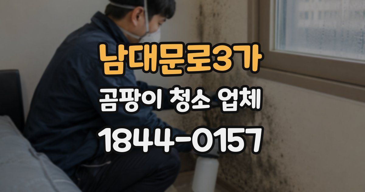 남대문로3가 곰팡이 청소 업체