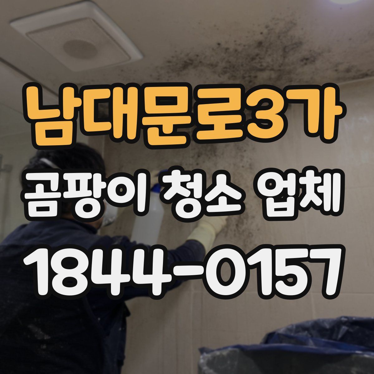 남대문로3가 곰팡이 청소 업체