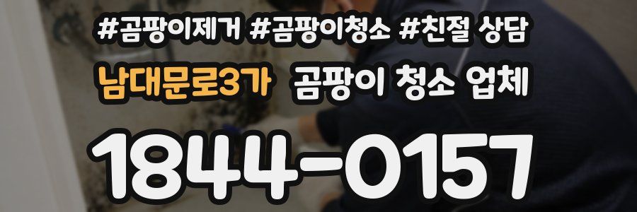 남대문로3가 곰팡이 청소 업체