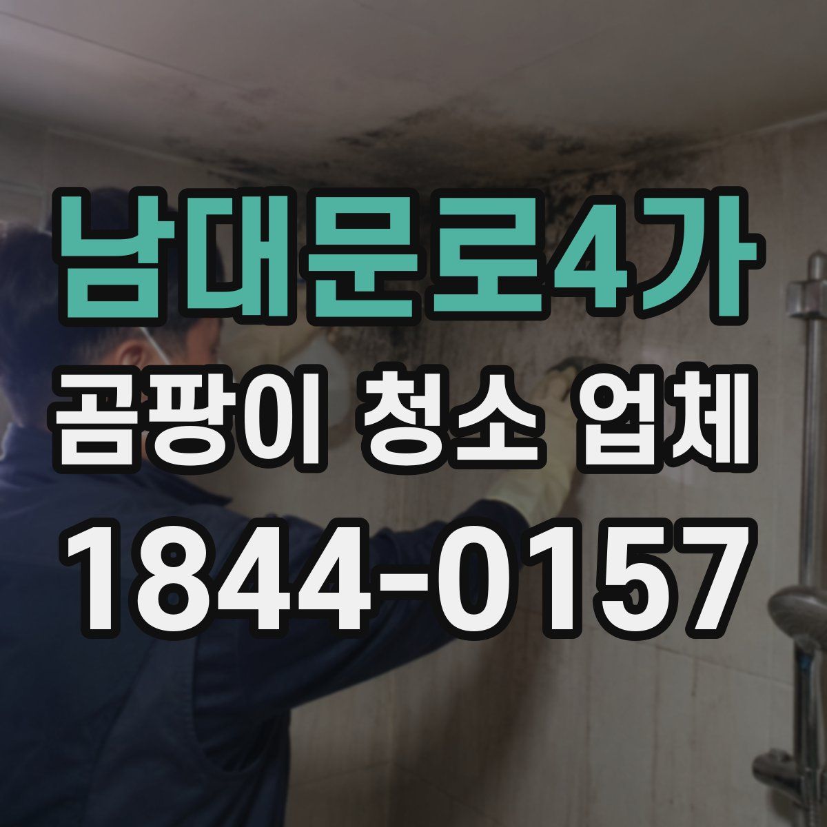 남대문로4가 곰팡이 청소 업체
