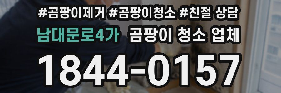 남대문로4가 곰팡이 청소 업체