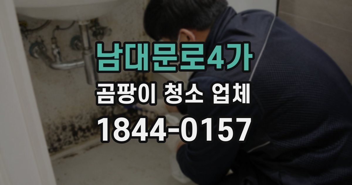 남대문로4가 곰팡이 청소 업체