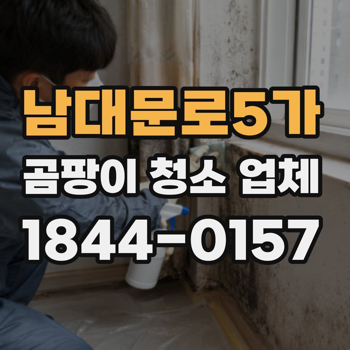 남대문로5가 곰팡이 청소 업체