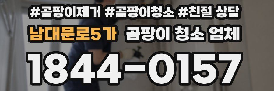 남대문로5가 곰팡이 청소 업체