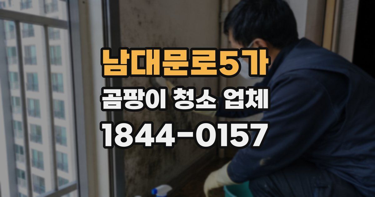 남대문로5가 곰팡이 청소 업체