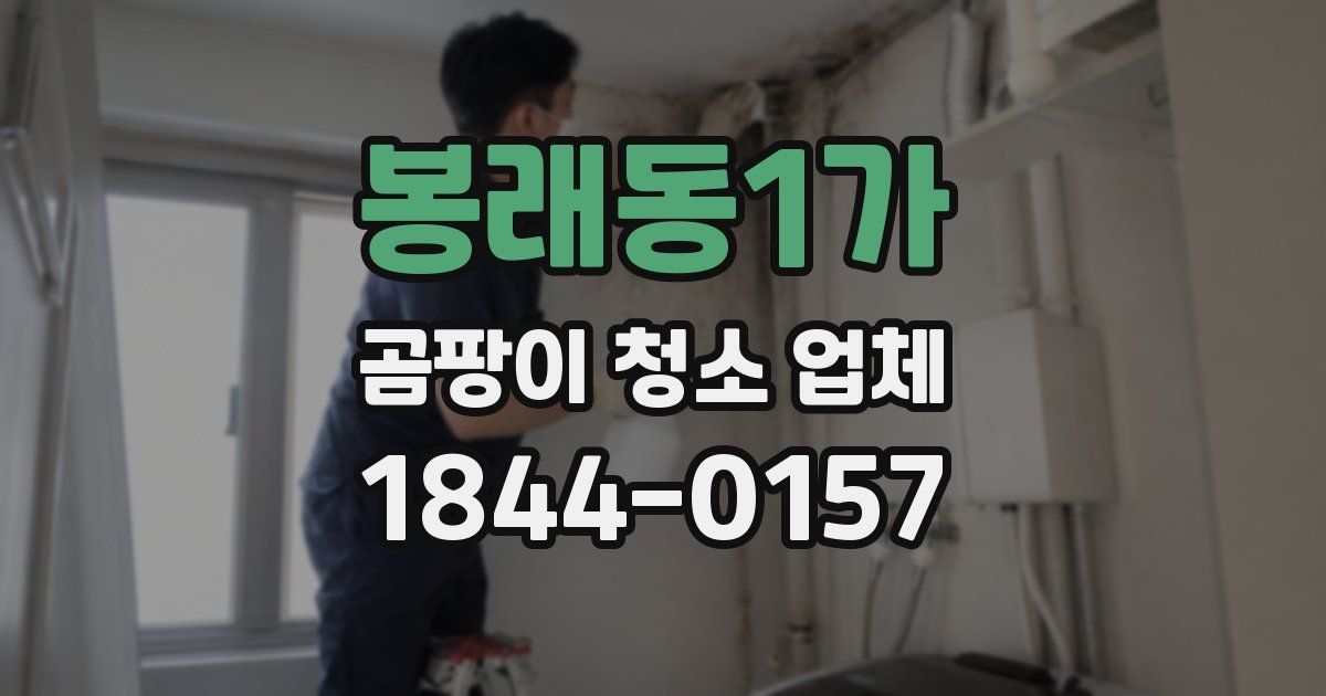 봉래동1가 곰팡이 청소 업체