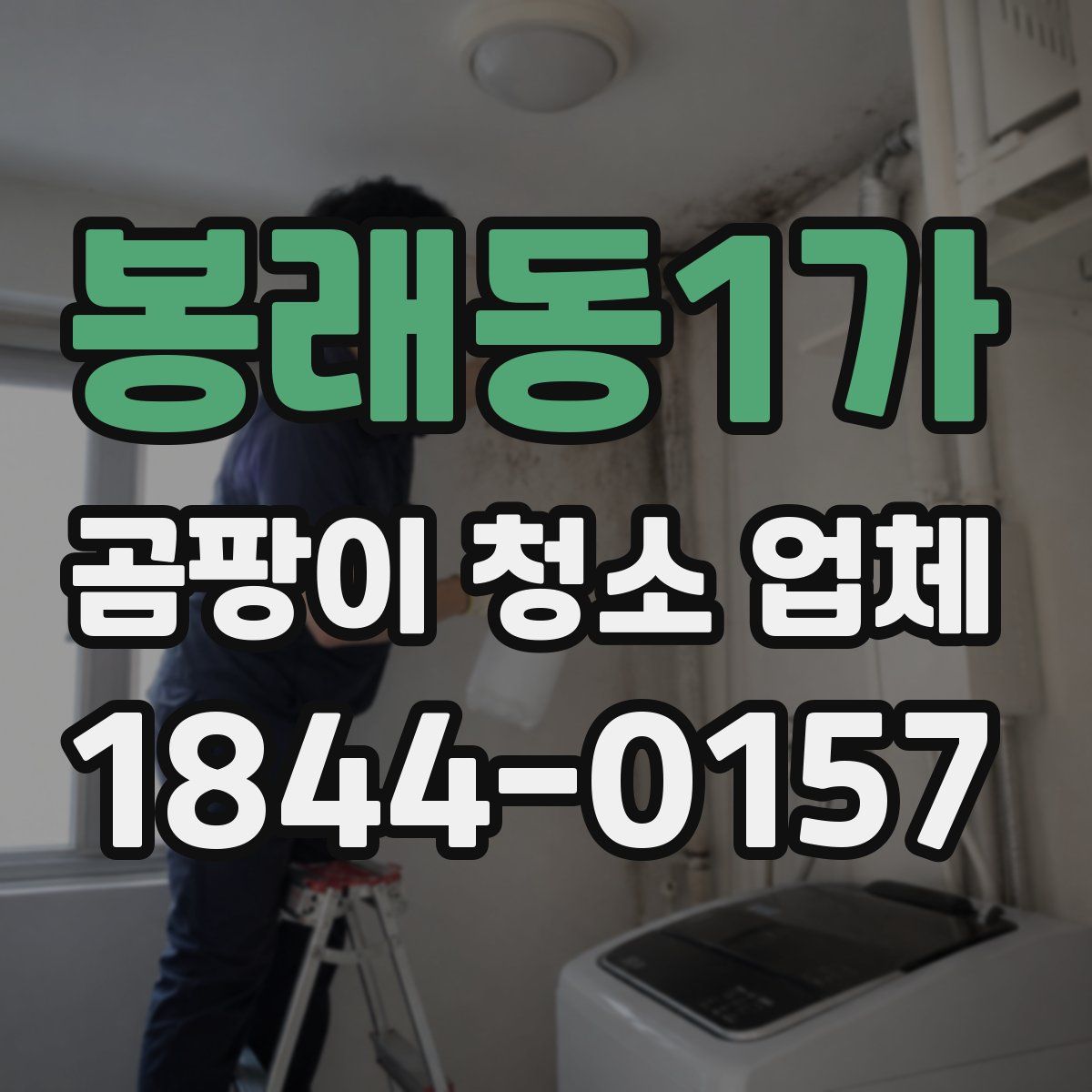 봉래동1가 곰팡이 청소 업체