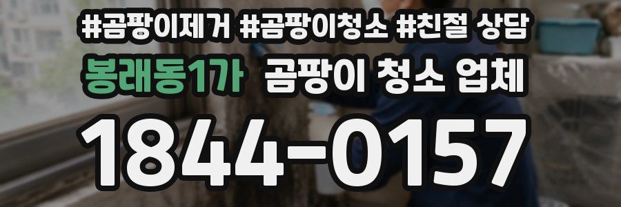봉래동1가 곰팡이 청소 업체