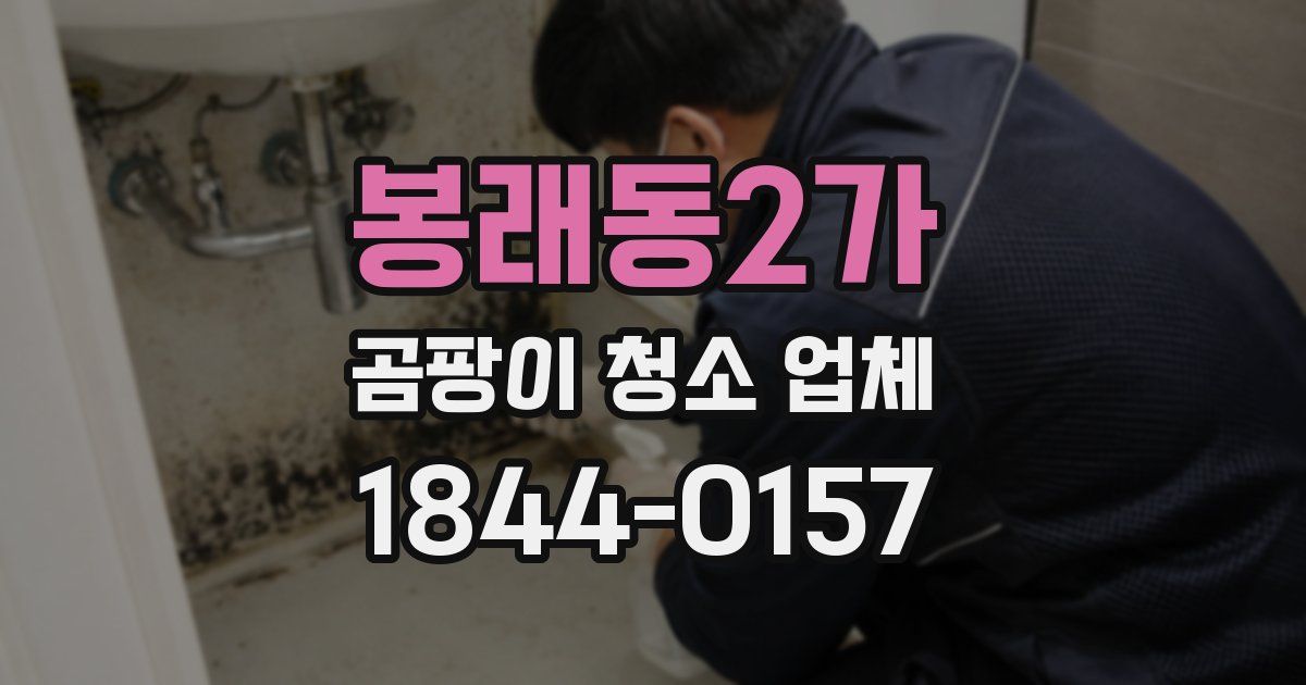 봉래동2가 곰팡이 청소 업체