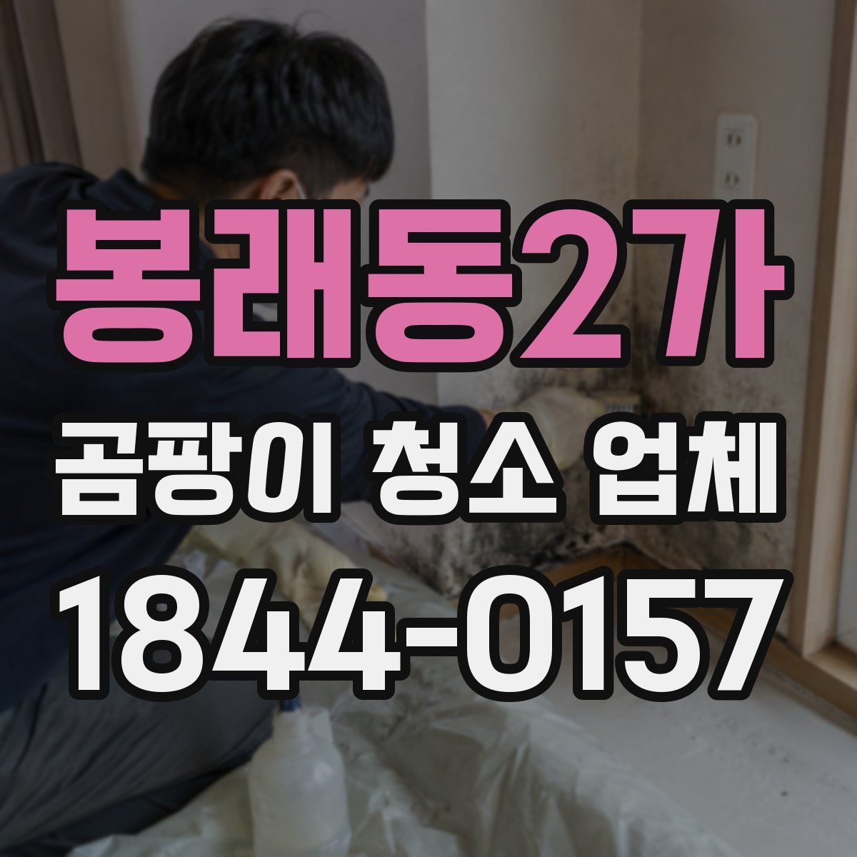 봉래동2가 곰팡이 청소 업체