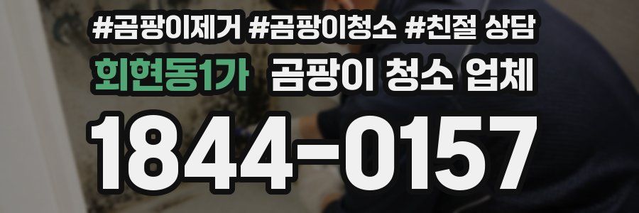 회현동1가 곰팡이 청소 업체