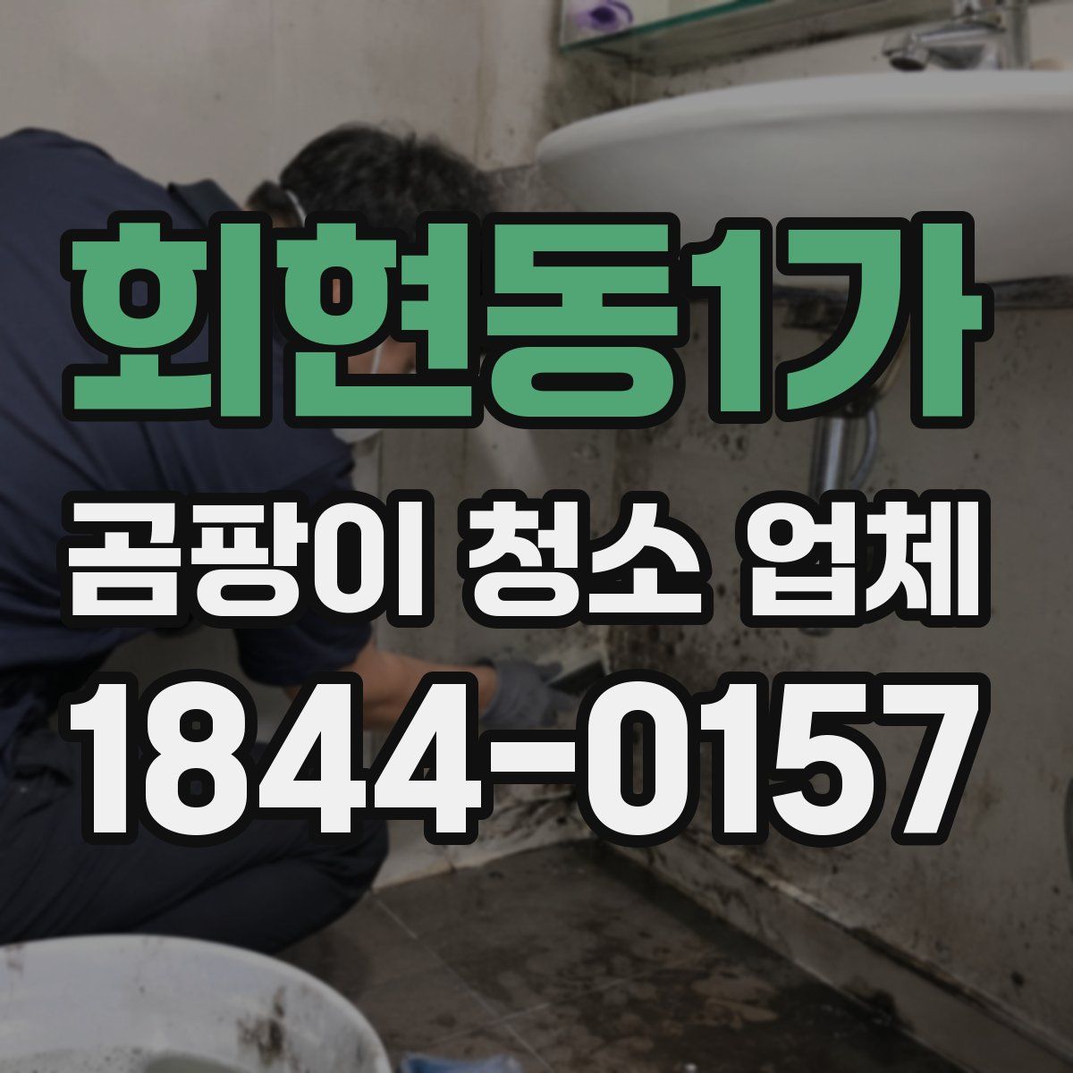 회현동1가 곰팡이 청소 업체