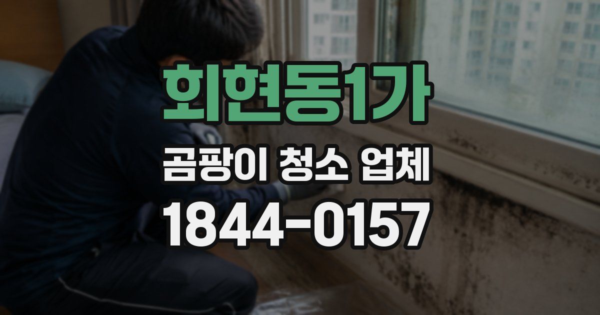 회현동1가 곰팡이 청소 업체