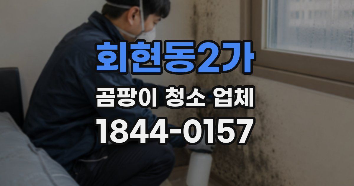 회현동2가 곰팡이 청소 업체