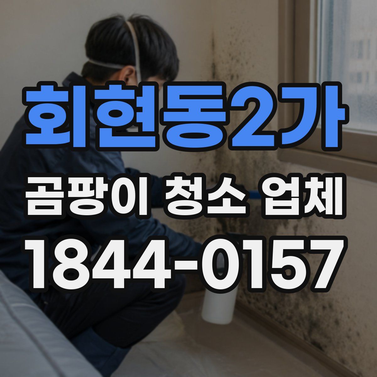회현동2가 곰팡이 청소 업체
